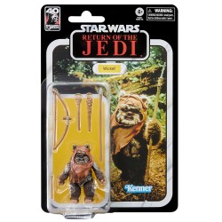 Star Wars 15cm WICKET EWOK 40Th The Return Of The Jedi Action Figure Black Series 6" F7050